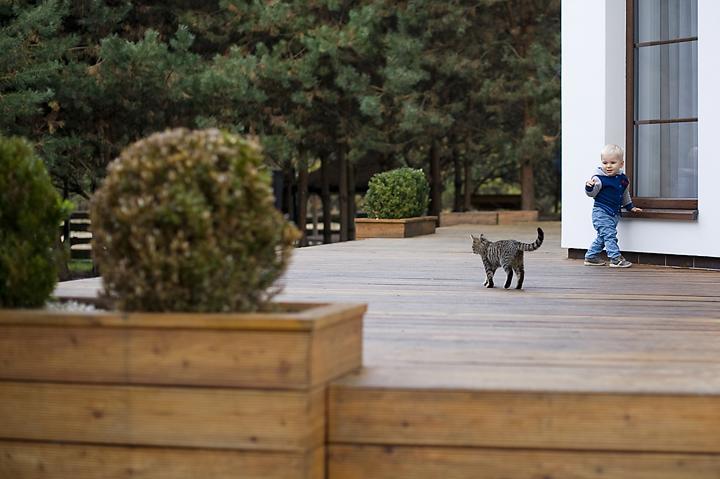 Modra Sikorka Villa Смардзевице Екстериор снимка